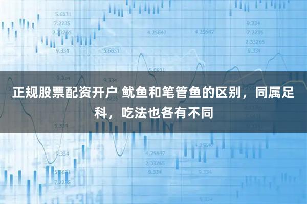 正规股票配资开户 鱿鱼和笔管鱼的区别，同属足科，吃法也各有不同